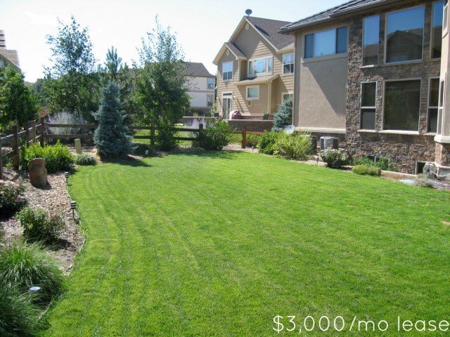 backyard luxury