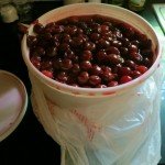 Baking at home