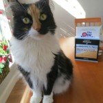 cat and rea estate books